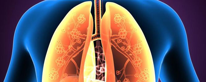 <br>Found higher levels of inflammation in people with asthma, compared to those without the condition.....<a href='https://www.heart.org/en/news/2022/11/23/persistent-asthma-linked-to-plaque-buildup-in-arteries-leading-to-the-brain' target='_blank'>More</a>