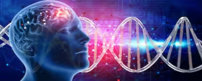 <br>Found a new treatment target for CDKL5 deficiency disorder (CDD), one of the most common types of genetic epilepsy.....<a href='https://www.crick.ac.uk/news-and-reports/2024-02-08_researchers-identify-new-way-to-treat-genetic-epilepsy-by-replacing-lost-enzyme' target='_blank'>More</a>