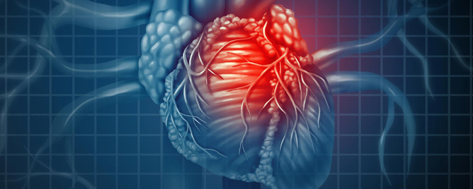 <br>Scientists report new insight into how the cells enable this unhealthy growth, and a new target to intervene.....<a href='https://jagwire.augusta.edu/new-target-in-the-fight-against-heart-disease/' target='_blank'>More</a>