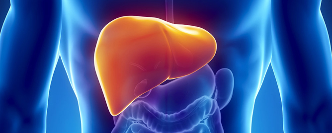 <br>Liver cancer’s rapid growth leads to a vulnerability in its energy-production and cell-building processes that may be potently exploited with a new combination-treatment stra....<a href='https://www.pennmedicine.org/news/news-releases/2022/august/liver-cancer-supercharged-metabolism-offers-a-new-treatment-strategy-penn-study-suggests' target='_blank'>More</a>