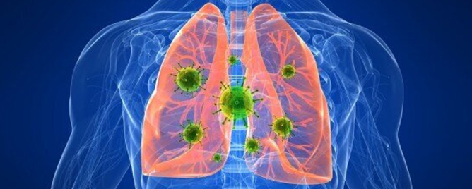 <br>Sientists have long thought of the fluid-filled sac around our lungs merely as a cushion from external damage. Turns out, it also houses potent virus-eating cells.....<a href='https://news.ucr.edu/articles/2024/02/14/scientists-discover-hidden-army-lung-flu-fighters' target='_blank'>More</a>