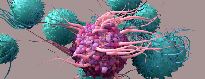 <br>Discovered a property of T cells that could inspire new anti-tumor therapeutics. T cells were shown to activate themselves in peripheral tissues, fueling their ability to att....<a href='https://today.ucsd.edu/story/t-cells-can-activate-themselves-to-fight-tumors' target='_blank'>More</a>